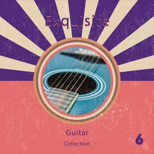 zZz Exquisite Guitar Collection zZz - Spanish Guitar Lounge Music