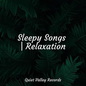 Sleepy Songs | Relaxation - Música de la Naturaleza