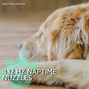432 Hz Naptime Nuzzles - Dog Frequencies