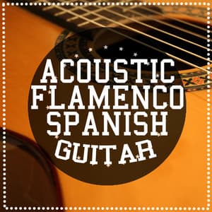 Acoustic Flamenco Spanish Guitar - Acoustic Guitar
