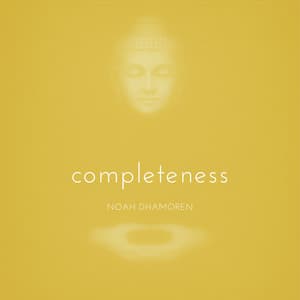 Completeness - Noah Dhamoren