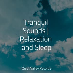 Tranquil Sounds | Relaxation and Sleep - Nature Sounds Collection