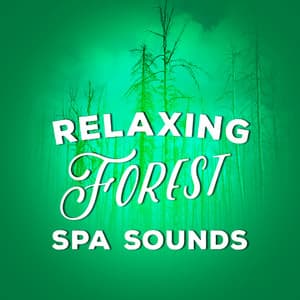 Relaxing Forest Spa Sounds - Ambient Nature Sounds