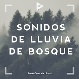 Sonidos de Lluvia de Bosque - Sonido Del Bosque y Naturaleza