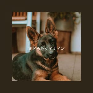 まどろみケイナイン - Jazz Rilassante Classici