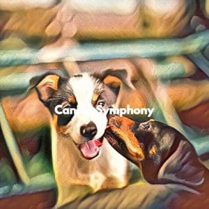 Canine Symphony - Jazz Connections for Reading