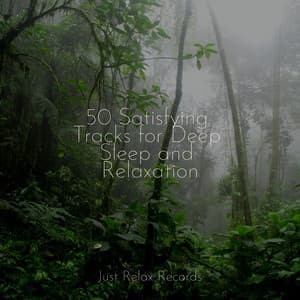 50 Satisfying Tracks for Deep Sleep and Relaxation - Calm Music for Studying