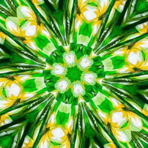 639 Hz - Serena Loveheart