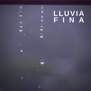 Lluvia Fina - Lluvia