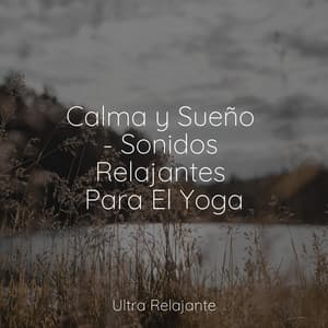 Calma y Sueño - Sonidos Relajantes Para El Yoga - Música para Dormir Con Relajantes Sonidos de la Naturaleza