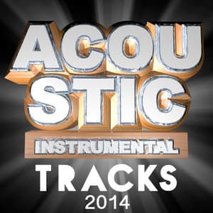 Acoustic Instrumental Tracks 2014 - Guitar Masters