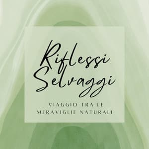 Riflessi Selvaggi - Viaggio tra le Meraviglie Naturali - Suoni per Dormire