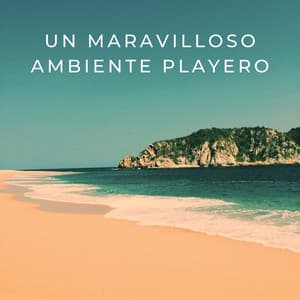 Un Maravilloso Ambiente Playero - Sonidos de la Naturaleza Relax