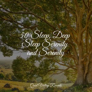50 Sleep, Deep Sleep Serenity and Serenity - Rest & Relax Nature Sounds