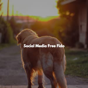 Social Media Free Fido - Sunday Evening Music