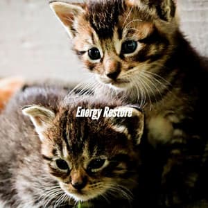 Energy Restore - Summer Jazz Playlist