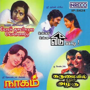 Velithandiya Vellaadu - Chinna Chinna Veedu Katti - Naagam - Karumayil Orr Azhahu - Shankar