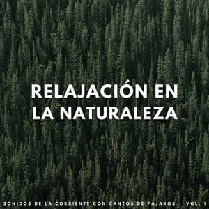 Relajación En La Naturaleza: Sonidos De La Corriente Con Cantos De Pájaros Vol. 1 - Paisajes sonoros de agua