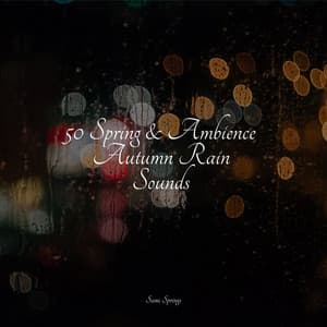 50 Spring & Ambience Autumn Rain Sounds - Nature & Sounds Background