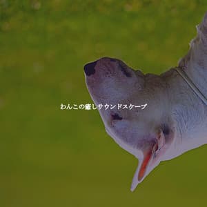 わんこの癒しサウンドスケープ - Jazz Rilassante Classici