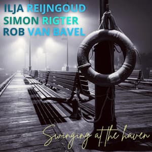 Swinging at the haven - Ilja Reijngoud