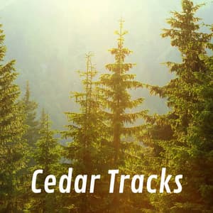 Cedar Tracks - Rain Sound Plus
