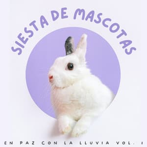 Siesta De Mascotas: En Paz Con La Lluvia Vol. 1 - Grabaciones de lluvia