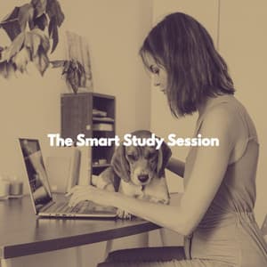 The Smart Study Session - Musica Jazz Instrumental