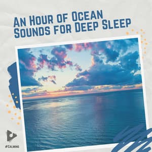 An Hour of Ocean Sounds for Deep Sleeping - #Calming
