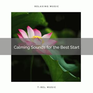 2020 Best: Calming Sounds for the Best Start - Deep Clarity