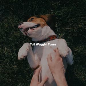 Tail Waggin' Tunes - Chill Cafe Music