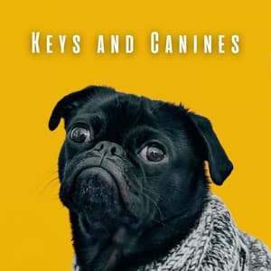 Keys and Canines: Harmonies with Piano and Dogs - Relaxing Dog Music Radio