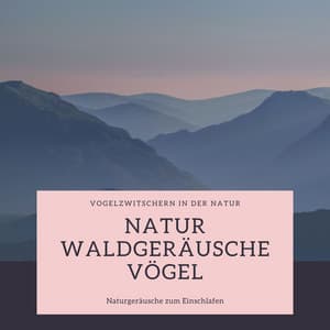 Natur Waldgeräusche Vögel: Vogelzwitschern in der Natur: Naturgeräusche zum Einschlafen - Entspannungsmusik Oase