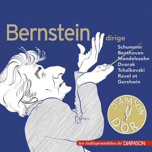 Leonard Bernstein dirige Beethoven, Dvorak, Gershwin, Mendelssohn, Ravel, Schumann & Tchaïkovski - Leonard Bernstein