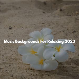Music Backgrounds For Relaxing 2023 - Massage Music Playlist