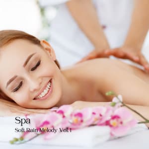 Spa: Soft Rain Melody Vol. 1 - Nature Sounds Nature Music