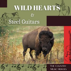 Wild Hearts & Steel Guitars - The Country Music Heroes