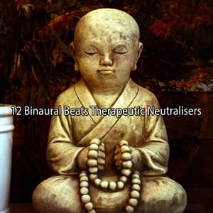 12 Binaural Beats Therapeutic Neutralisers - Binaural Beats Deep Sleep