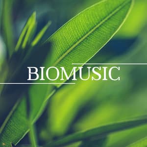 Biomusic - Beth Souls