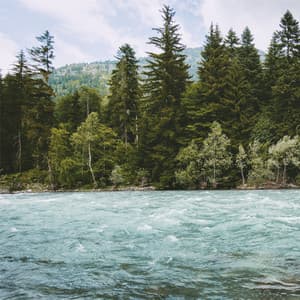 Jardín Secreto - Música De Relajación Para Dormir Profundamente