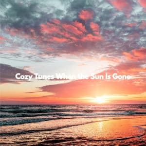 Cozy Tunes When the Sun Is Gone - Fine Dining Music