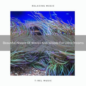 Beautiful Noises Of Waves And Woods For Ultra Dreams - Noise Gravity