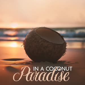 In a Coconut Paradise: Exotic Kalimba Music for Relaxation - Exotic Nature Kingdom