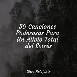 50 Canciones Poderosas Para Un Alivio Total del Estrés - Sonido Del Bosque y Naturaleza