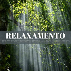 Relaxamento: Sons Tranquilos Da Floresta E Vento Para Uma Relaxante Sessão De SPA - Música Relax para Bares