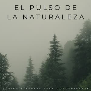 El Pulso De La Naturaleza: Música Binaural Para Concentrarse - Delta Ondas Puras
