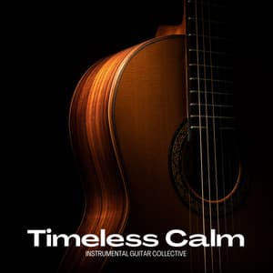 Timeless Calm: Acoustic Guitar Relaxation - Instrumental Guitar Collective