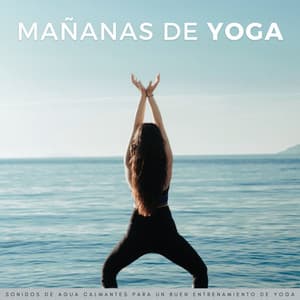 Mañanas De Yoga: Sonidos De Agua Calmantes Para Un Buen Entrenamiento De Yoga - Relajacion Yoga Conjunto