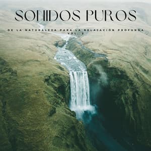 Sonidos Puros De La Naturaleza Para La Relajación Profunda Vol. 2 - Paisajes sonoros de roca de agua