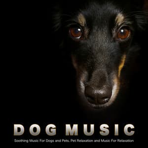 Dog Music: Soothing Music For Dogs and Pets, Pet Relaxation and Music For Relaxation - Dog Music